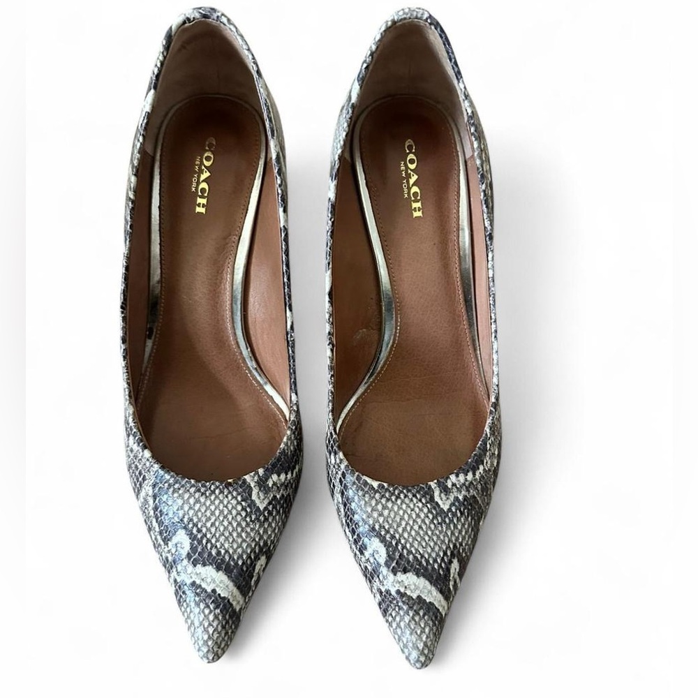 Coach Snakeskin Pointed Toe Heels – Size 9.5